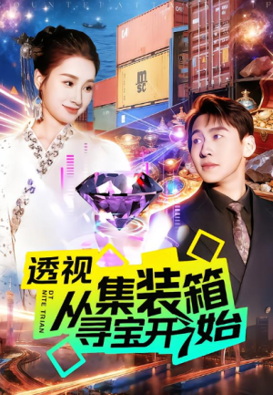 透视从集装箱寻宝开始（117集）