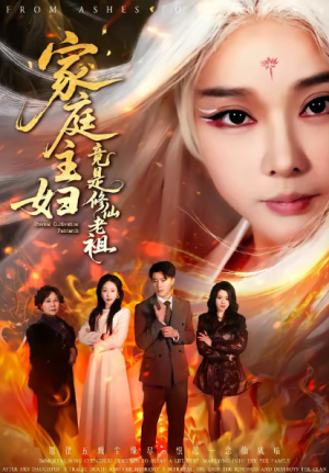 家庭主妇竟是修仙老祖（47集）