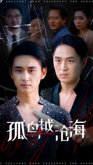 孤鸟越沧海 (60集)