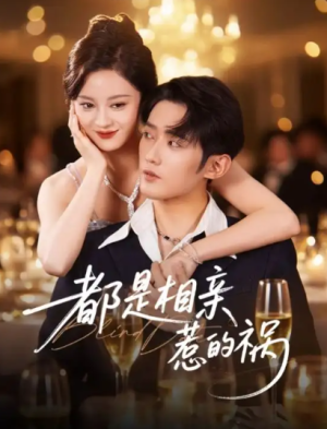 都是相亲惹的祸（72集）