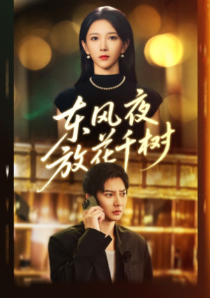 东风夜放花千树&＆燕西误尽瑶台月（91集）