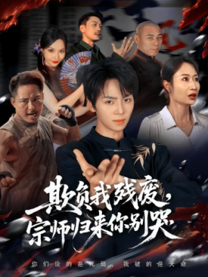 欺负我残废，宗师归来你别哭（64集）