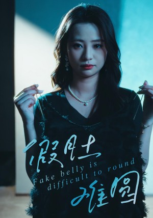 假肚难圆（30集）