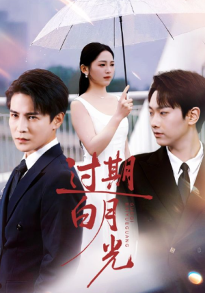 过期白月光（80集）