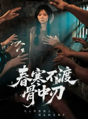 春寒不渡骨中刃 (45集)