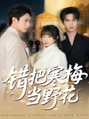 错把寒梅当野花（60集）