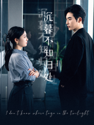 《沉暮不知归处》（100集）
