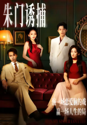 朱门诱捕（45集）