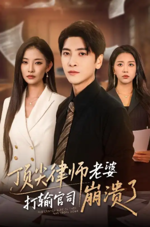 顶尖律师老婆打输官司崩溃了（爱至深处不回头）（73集）