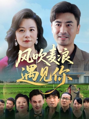 风吹麦浪遇见你（60集）