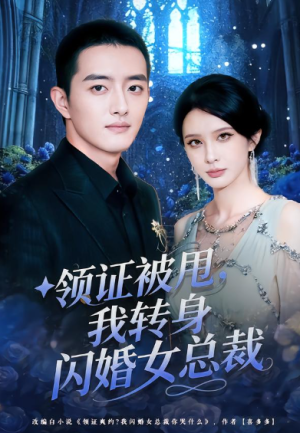 领证被甩我转身闪婚女总裁（80集）