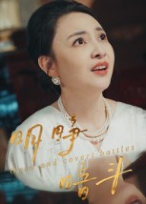 明睁暗斗（30集）