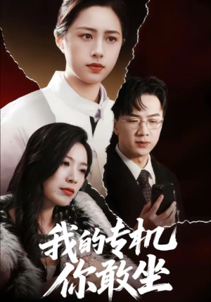 我的专机你敢坐（62集）