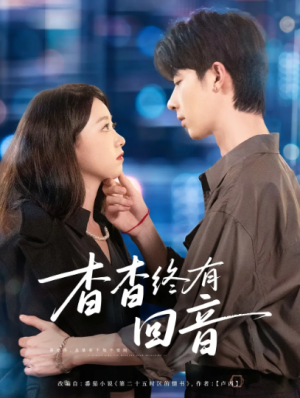 杳杳终有回音（66集）