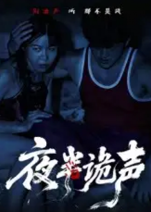 夜半诡声（28集）