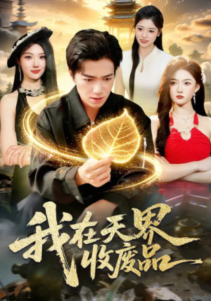 我在天界收废品（90集）