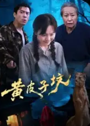 黄皮子坟（35集）