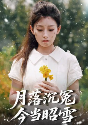 月落沉冤今当昭雪（60集）