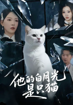 他的白月光是只猫（69集）