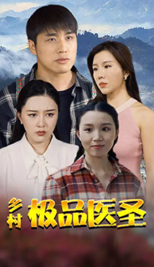 乡村极品医圣（46集）