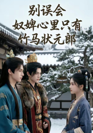 别误会奴婢心里只有竹马状元郎（64集）