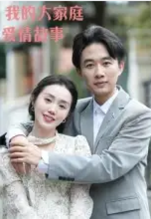 我的大家庭爱情故事（15集）