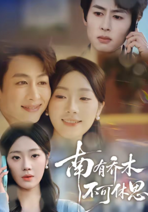 南有乔木不可休思（68集）