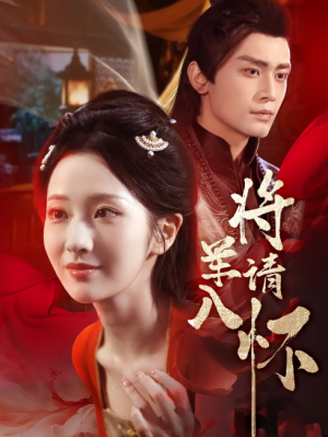 将军请入怀（55集）