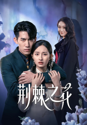 荆棘之花（100集）