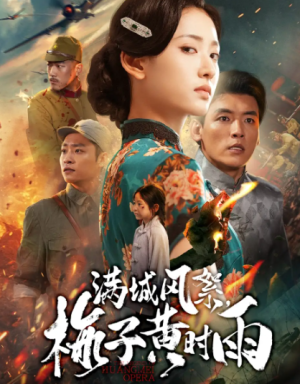  满城风絮梅子黄时雨（58集）