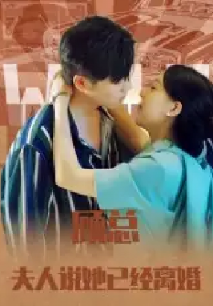 顾总，夫人说她已经离婚&顾总夫人说她已经离婚（30集）