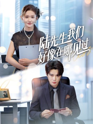 陆先生我们好像在哪见过（70集）