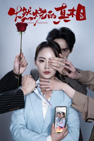 燃烧的真相（60集）