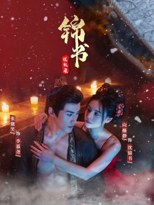 锦书谋权录（70集）